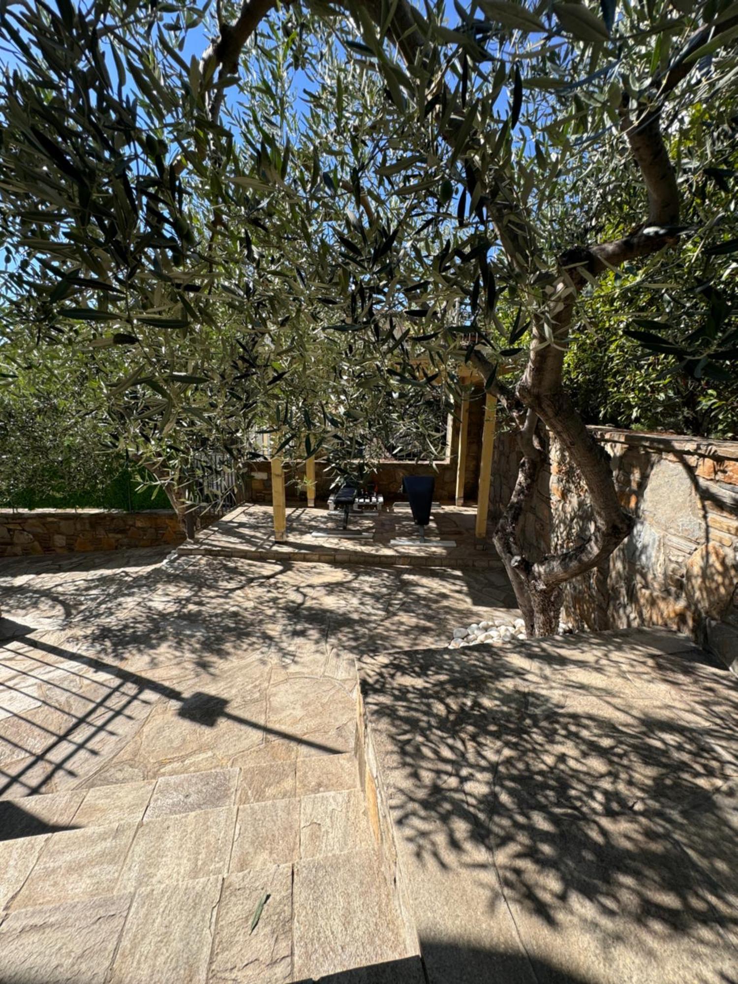 Casa Paradiso Paradíszosz Kültér fotó